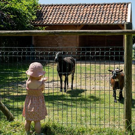 Hoeve De Binnenplaets Schimmert Ngoại thất bức ảnh