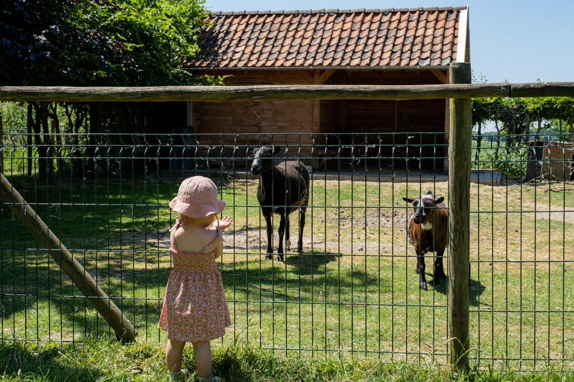 Hoeve De Binnenplaets Schimmert Ngoại thất bức ảnh
