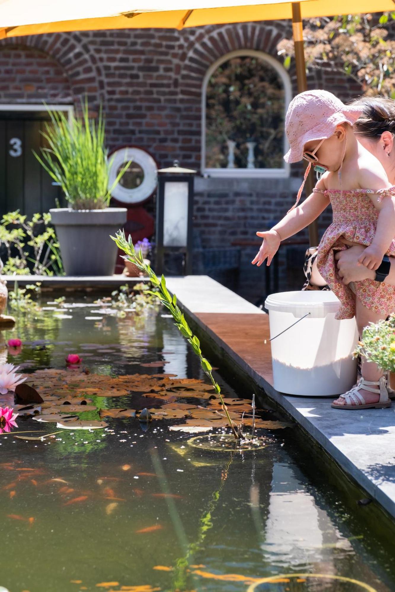 Hoeve De Binnenplaets Schimmert Ngoại thất bức ảnh